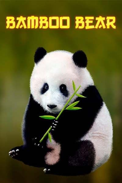 Bamboo Bear